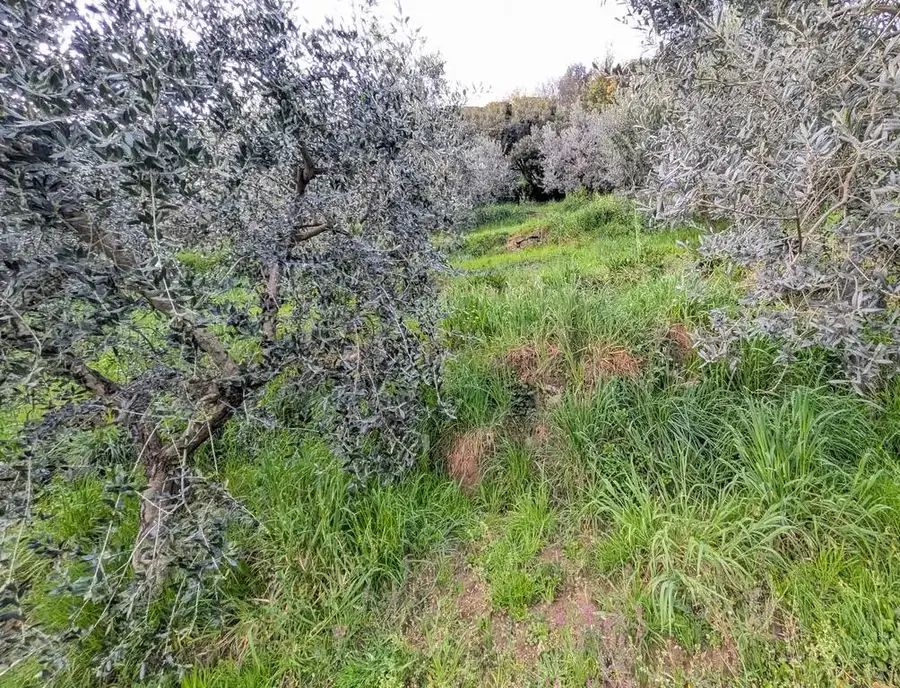 Casa singola in vendita a Pistoia - foto 40
