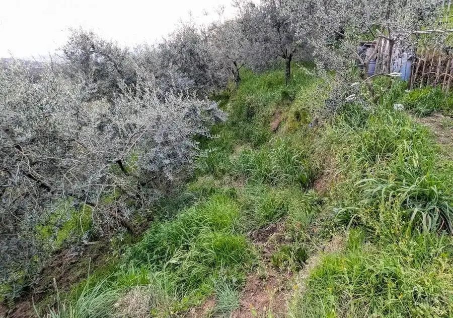 Casa singola in vendita a Pistoia - foto 41